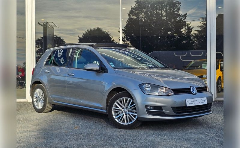 Volkswagen Golf CUP VII 5 Portes 1.6 TDI 16V Blue Motion DSG7 S&S 105 cv